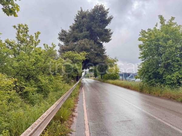terreno agricolo in vendita a Castellana Grotte