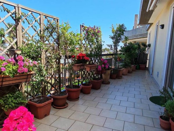 appartamento in vendita a Castellana Grotte