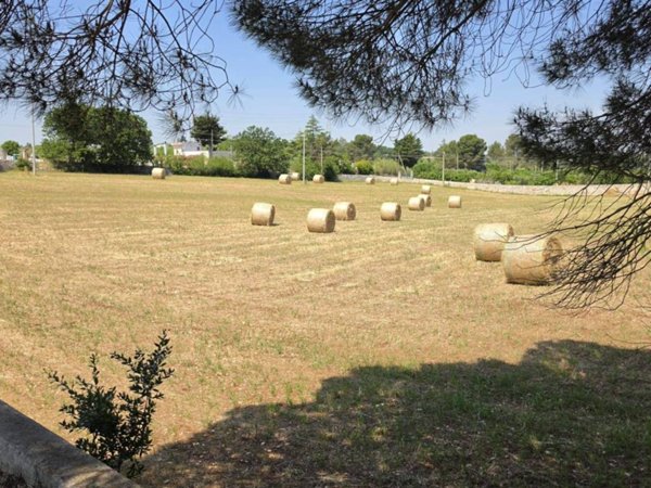 terreno agricolo in vendita a Castellana Grotte