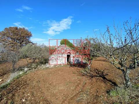 casa indipendente in vendita a Castellana Grotte