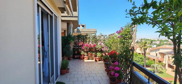 appartamento in vendita a Castellana Grotte