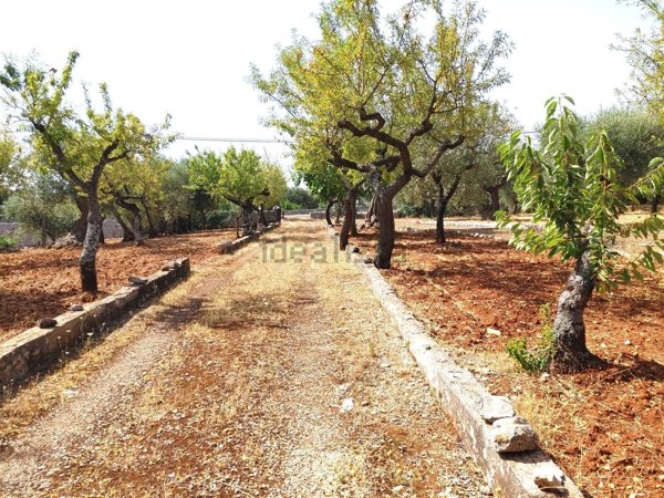 appartamento in vendita a Castellana Grotte