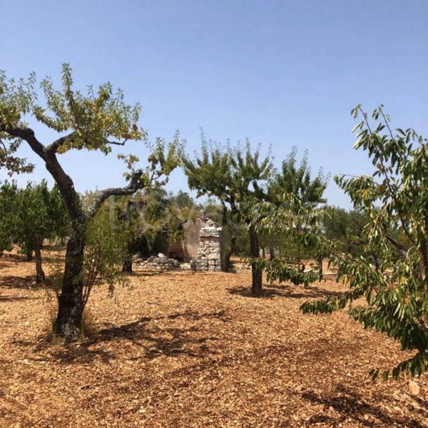 casa indipendente in vendita a Castellana Grotte