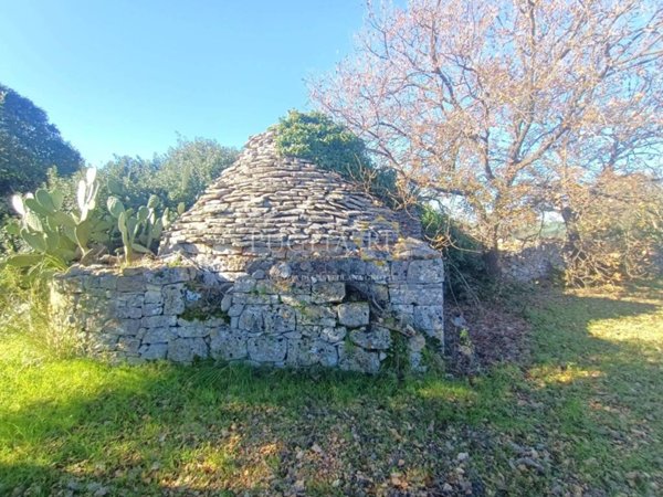 casa indipendente in vendita a Castellana Grotte