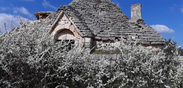 trullo in vendita a Castellana Grotte