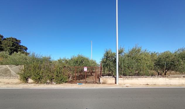 terreno agricolo in vendita a Cellamare