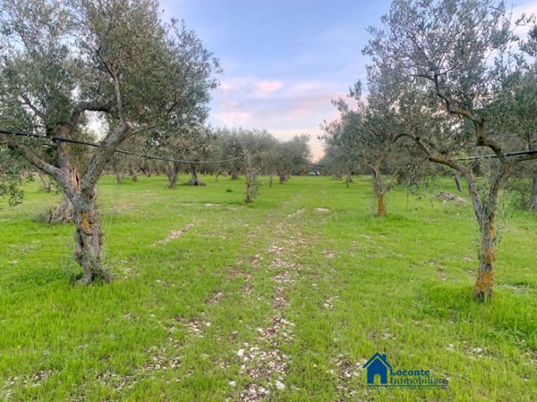 terreno agricolo in vendita a Cellamare