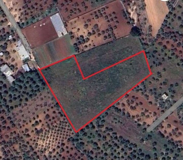 terreno agricolo in vendita a Cellamare