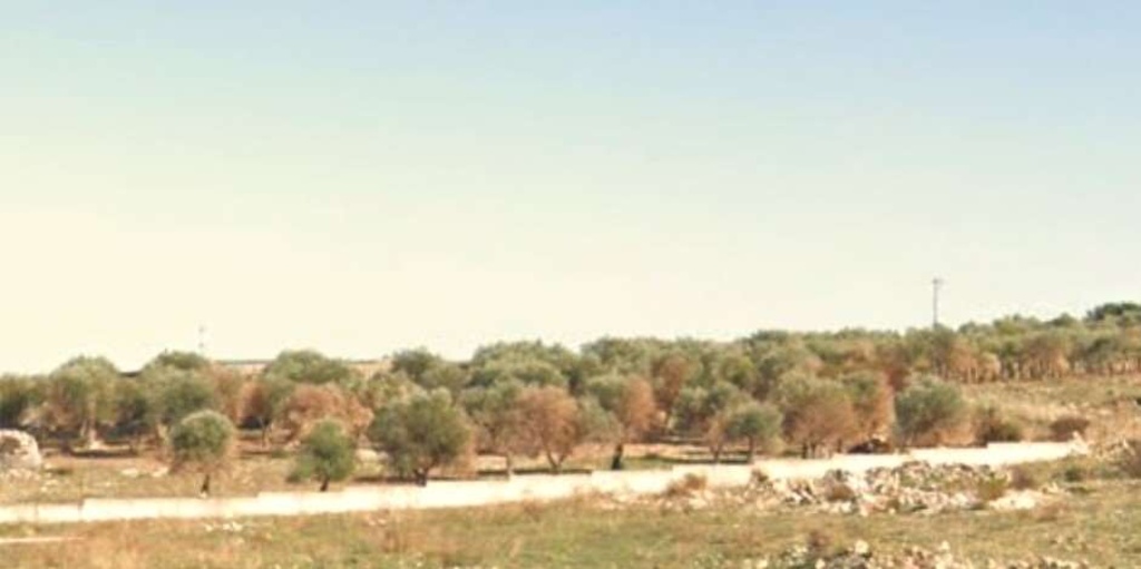 terreno agricolo in vendita a Cellamare