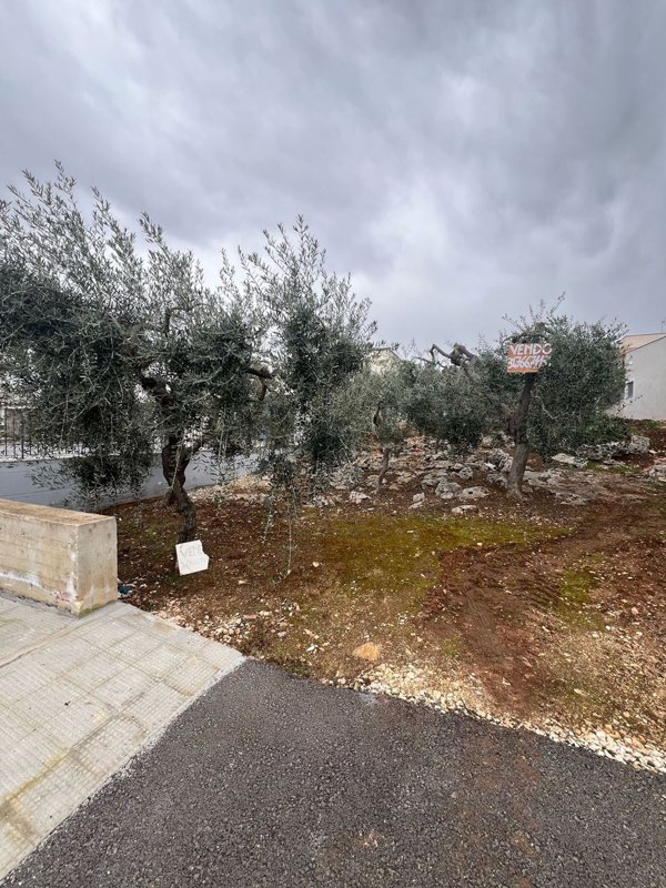 casa indipendente in vendita a Cellamare