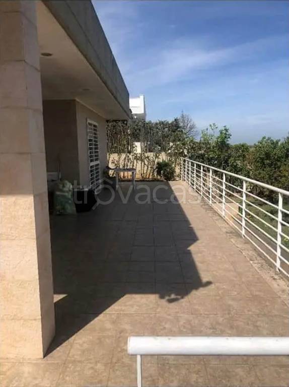 casa indipendente in vendita a Cellamare