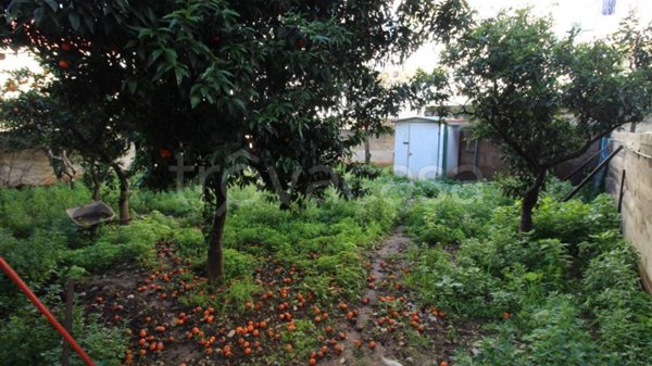casa indipendente in vendita a Cellamare