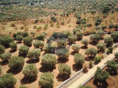 terreno agricolo in vendita a Conversano