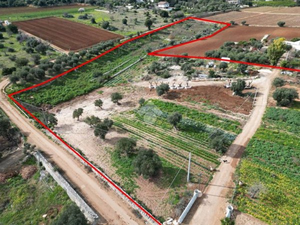terreno agricolo in vendita a Conversano