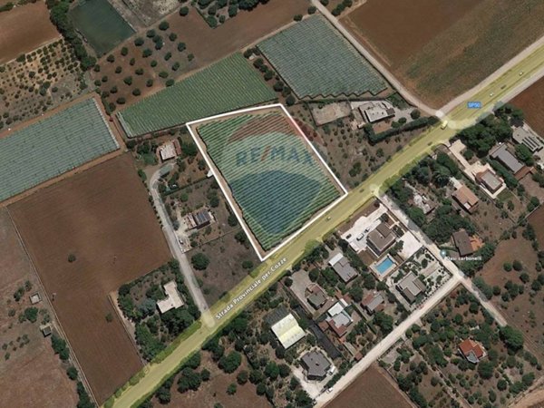 terreno agricolo in vendita a Conversano