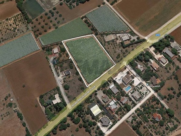 terreno agricolo in vendita a Conversano