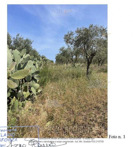terreno agricolo in vendita a Conversano