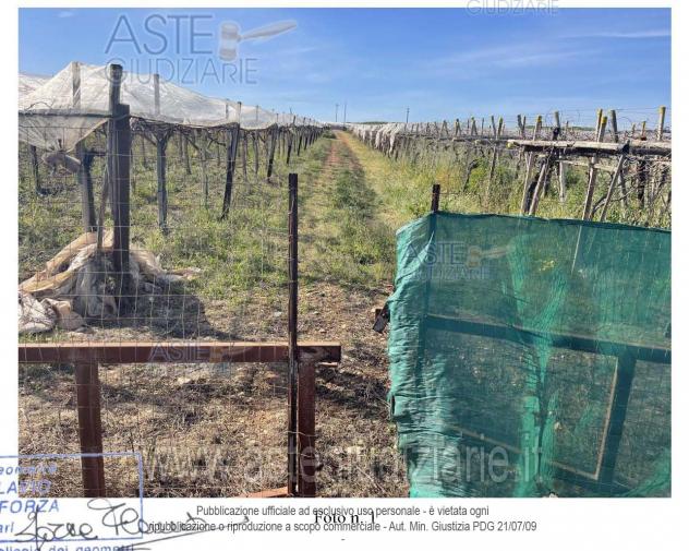 terreno agricolo in vendita a Conversano