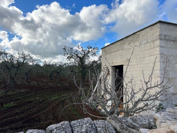 appartamento in vendita a Conversano