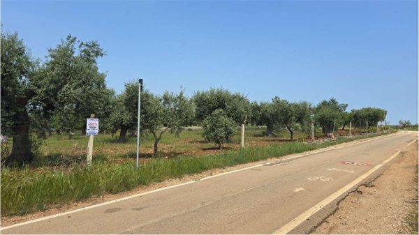 terreno agricolo in vendita a Conversano