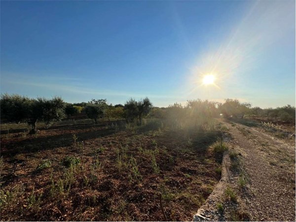 terreno agricolo in vendita a Conversano