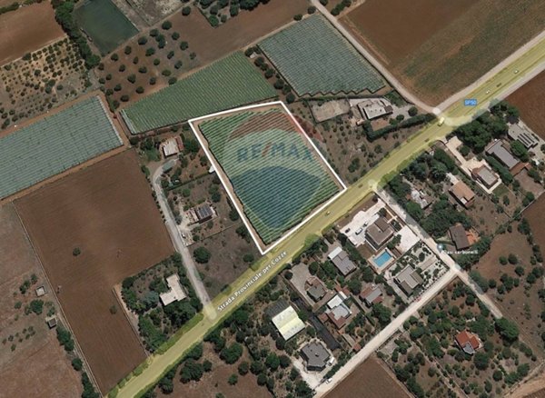 terreno agricolo in vendita a Conversano
