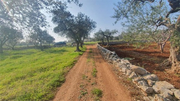 terreno agricolo in vendita a Conversano