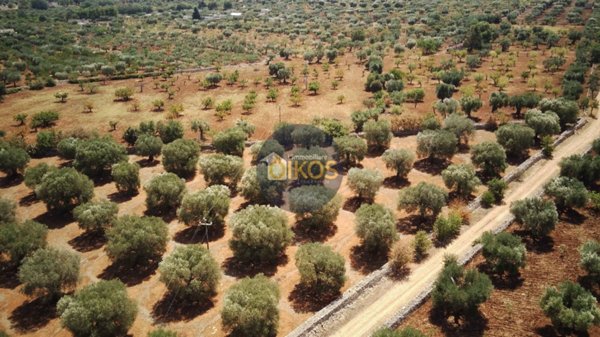 terreno agricolo in vendita a Conversano