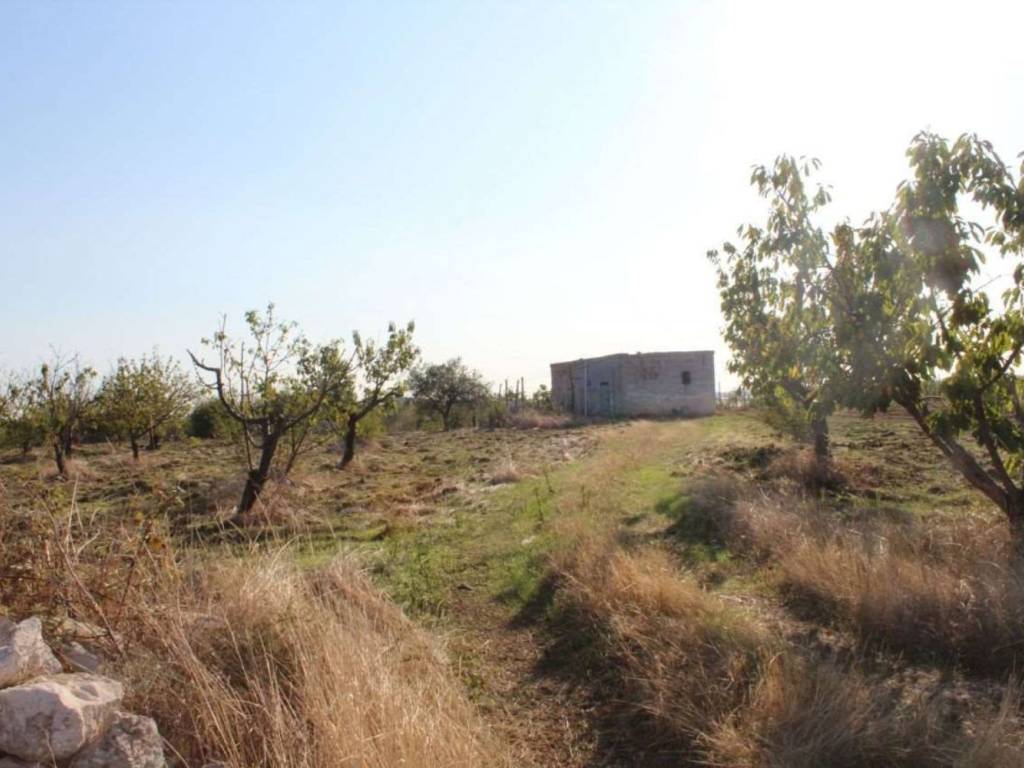 terreno agricolo in vendita a Conversano