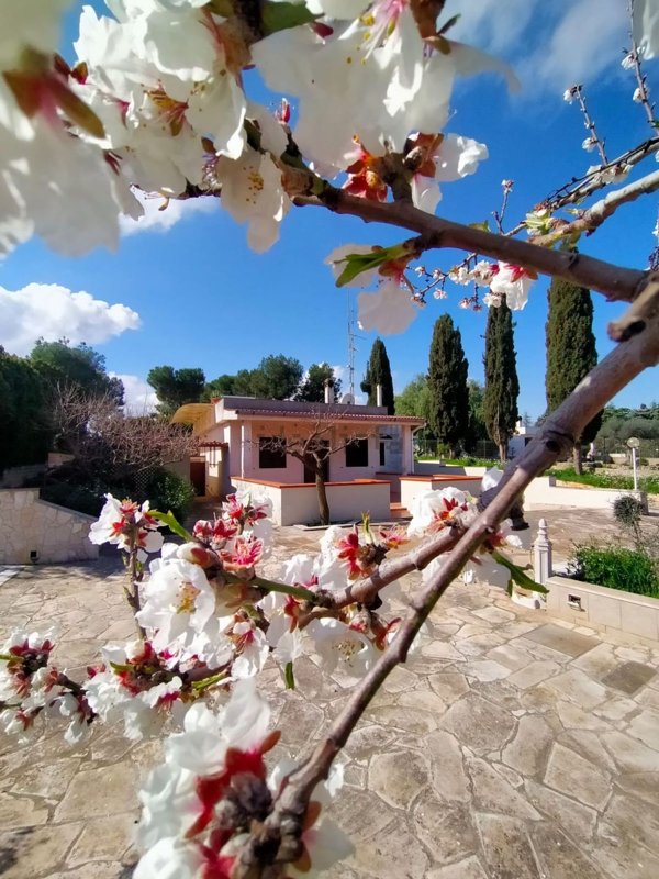 casa indipendente in vendita a Conversano