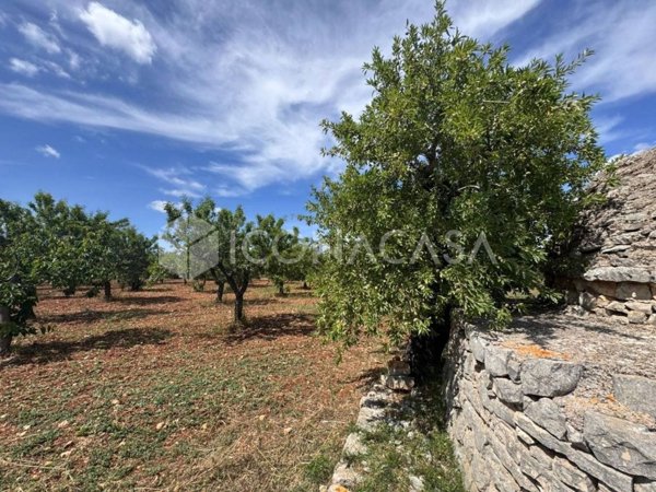appartamento in vendita a Conversano