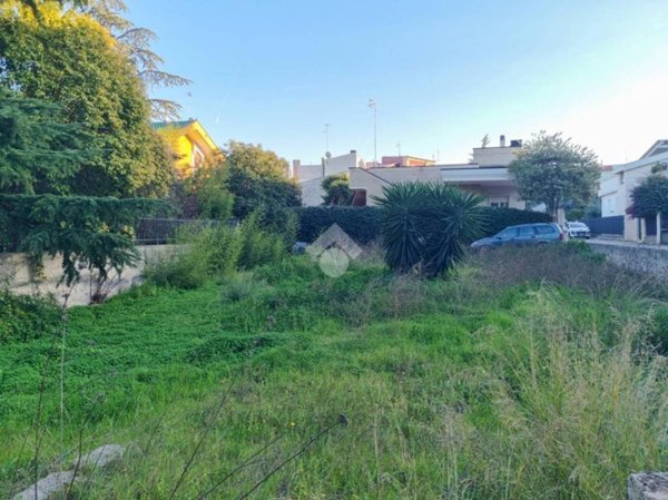 terreno agricolo in vendita a Conversano