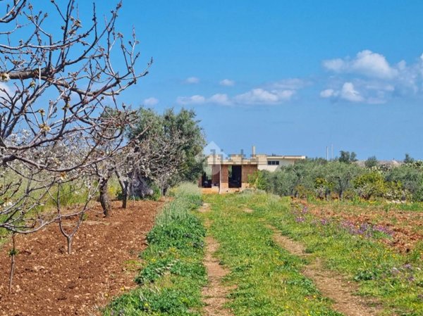 casa indipendente in vendita a Conversano
