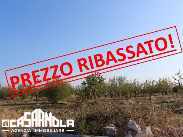 terreno agricolo in vendita a Conversano