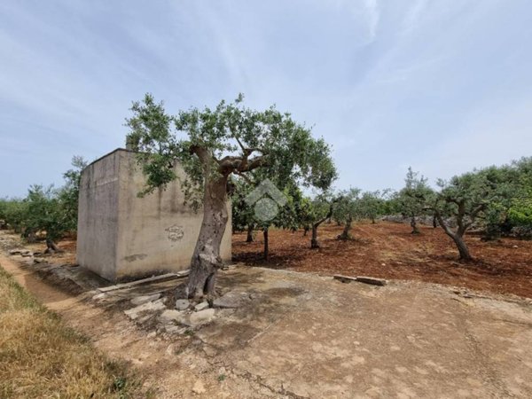 terreno agricolo in vendita a Conversano