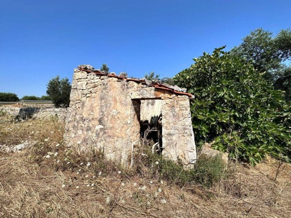terreno agricolo in vendita a Conversano