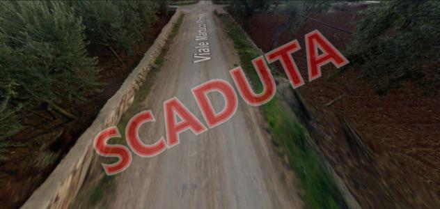 terreno agricolo in vendita a Conversano