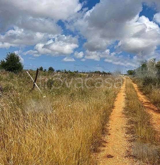 appartamento in vendita a Conversano