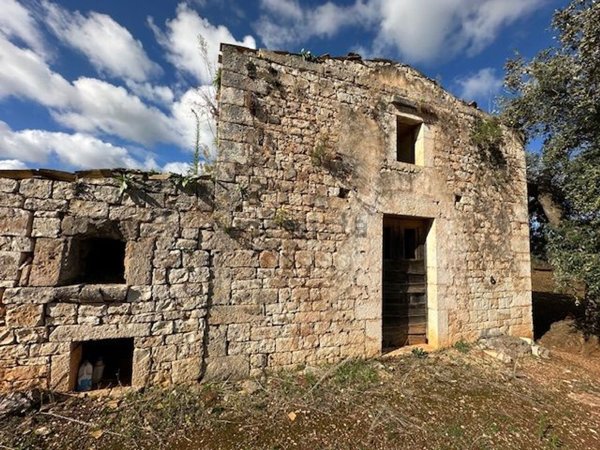 appartamento in vendita a Conversano