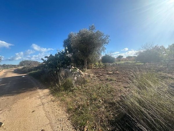 terreno agricolo in vendita a Conversano