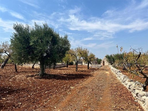 appartamento in vendita a Conversano