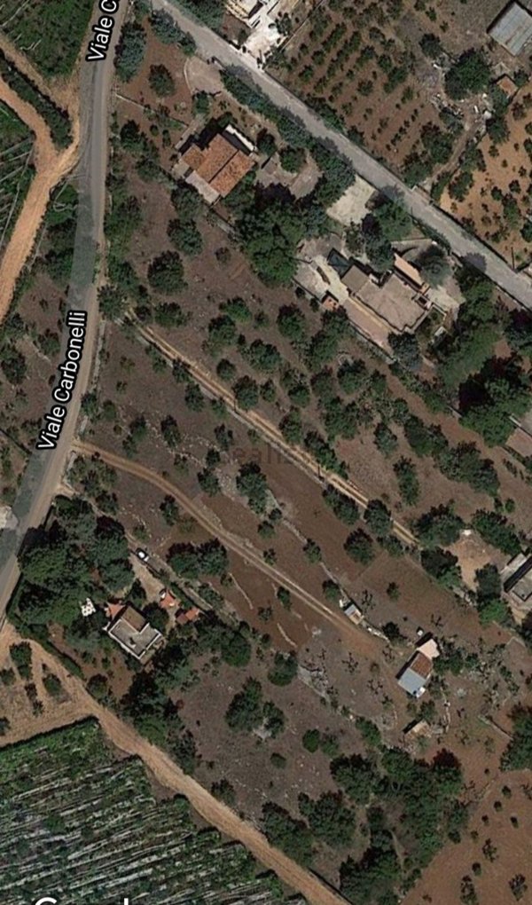 terreno agricolo in vendita a Conversano