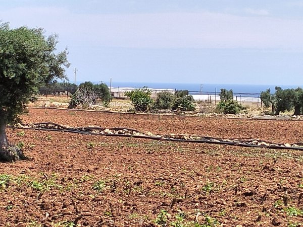 terreno edificabile in vendita a Conversano