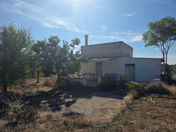 terreno agricolo in vendita a Conversano