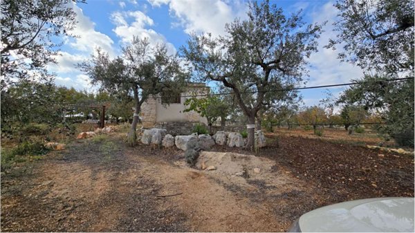 terreno agricolo in vendita a Conversano