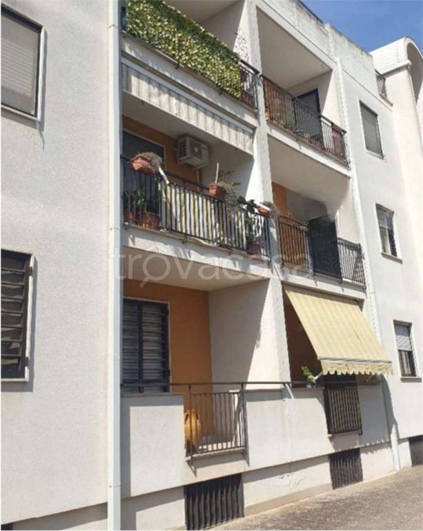 appartamento in vendita a Conversano