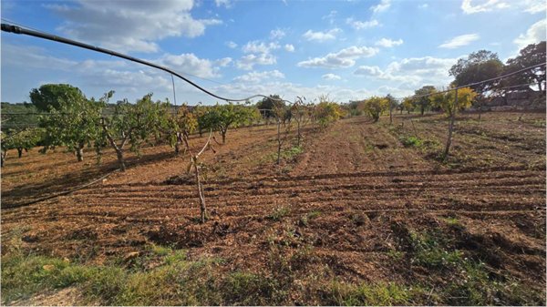 terreno agricolo in vendita a Conversano
