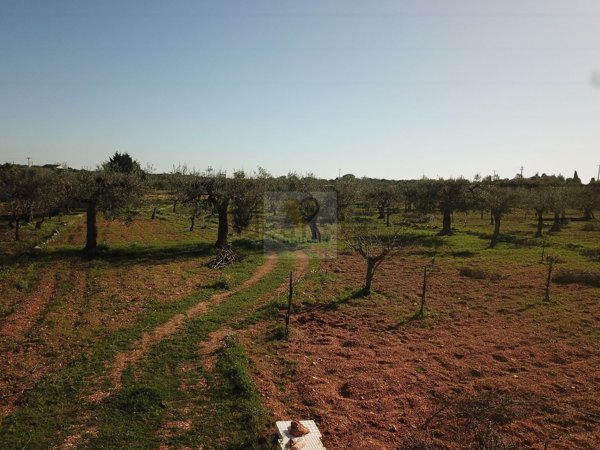 quadrivano in vendita a Conversano
