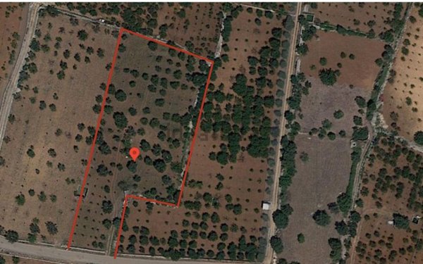 terreno agricolo in vendita a Conversano