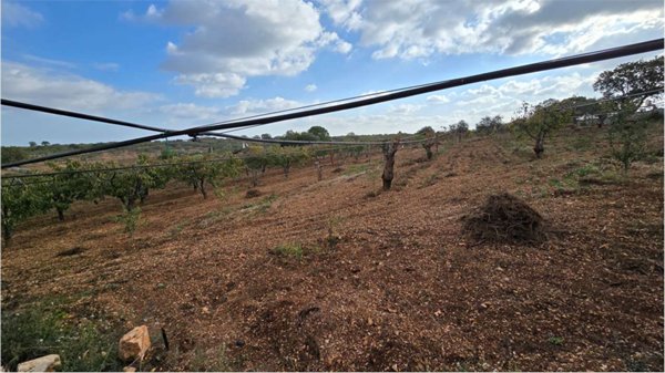 appartamento in vendita a Conversano